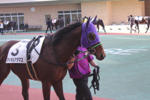 ニシノフラワー　馬娘でも人気　桜花賞　阪神３歳牝馬S　スプリンターズSを制した快速娘　